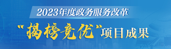 2023年度政務服務改革"揭榜競優(yōu)"項目成果